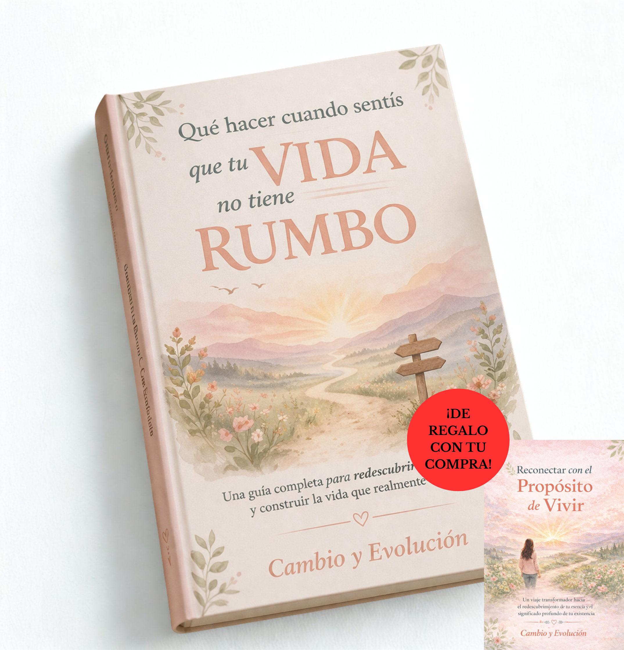Qué hacer cuando sentís que tu vida no tiene rumbo + Reconectar con el Propósito de Vivir DE REGALO
